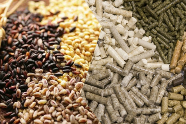 Продажа завода по производству сухих кормовых добавок, премиксов, БМВД